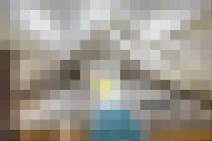 Dieklaan 1 Middelharnis thumbnail 31