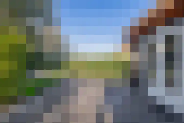 Dieklaan 1 Middelharnis thumbnail 33
