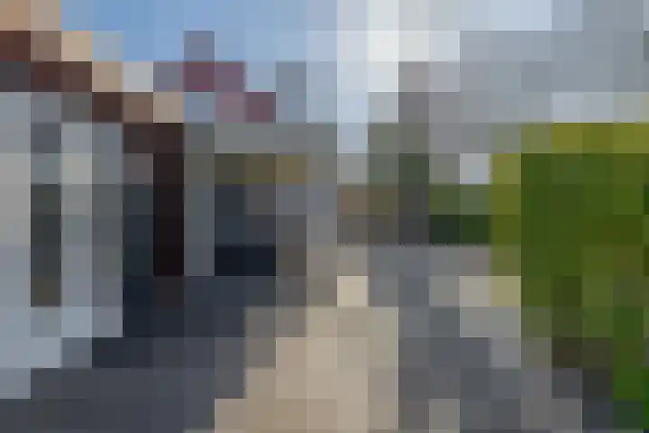 Dieklaan 1 Middelharnis thumbnail 34