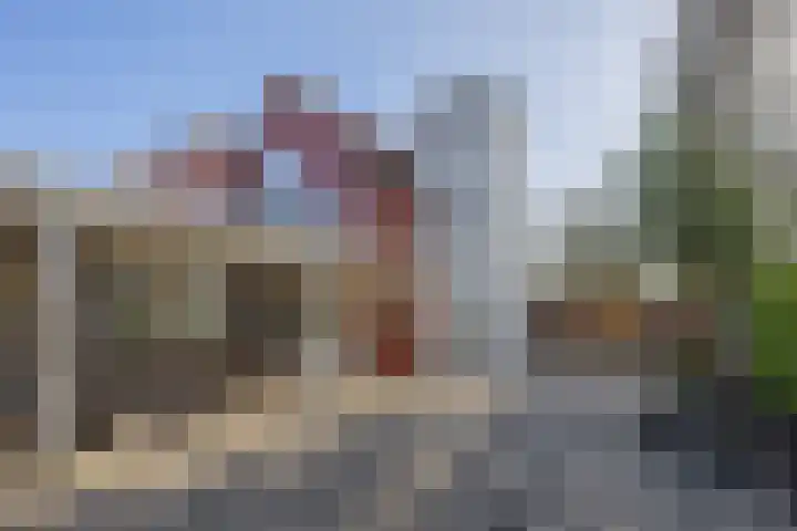 Dieklaan 1 Middelharnis thumbnail 36