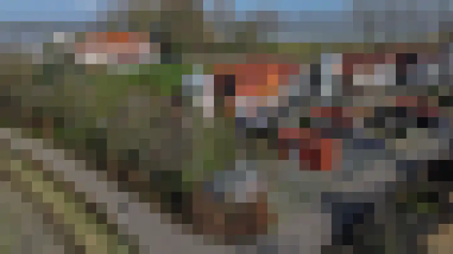 Dieklaan 1 Middelharnis thumbnail 39