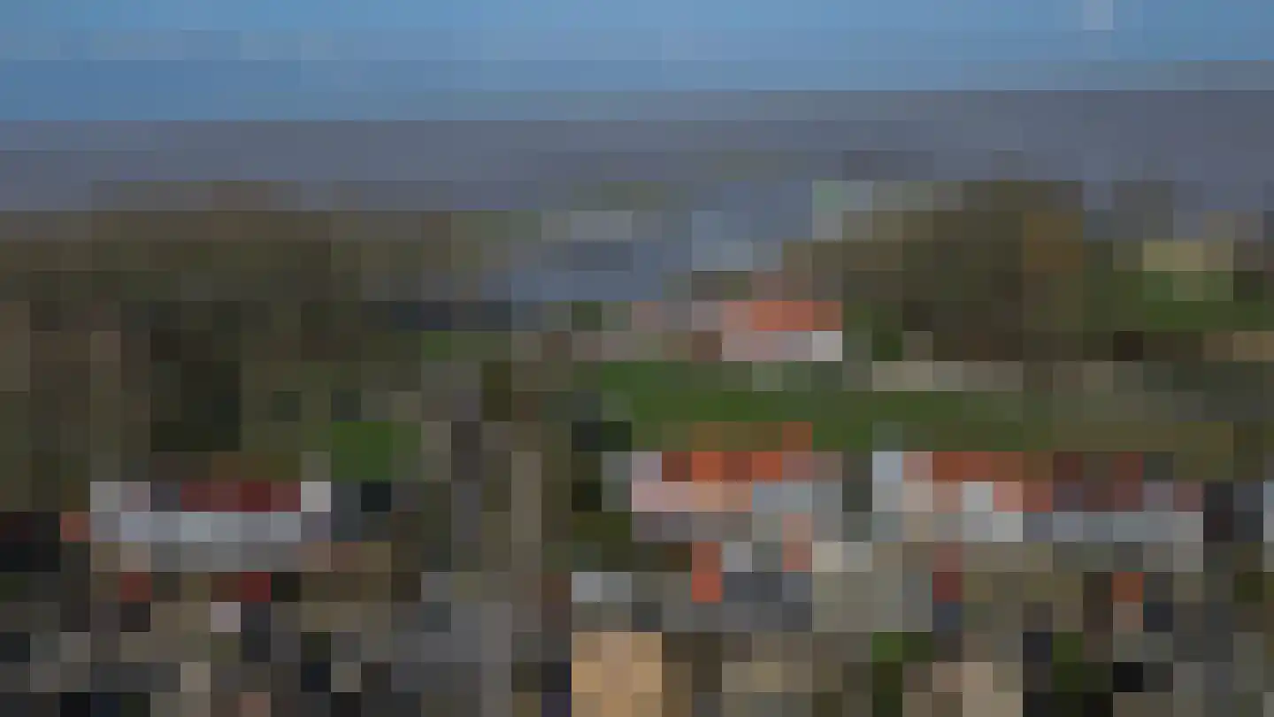 Dieklaan 1 Middelharnis thumbnail 40