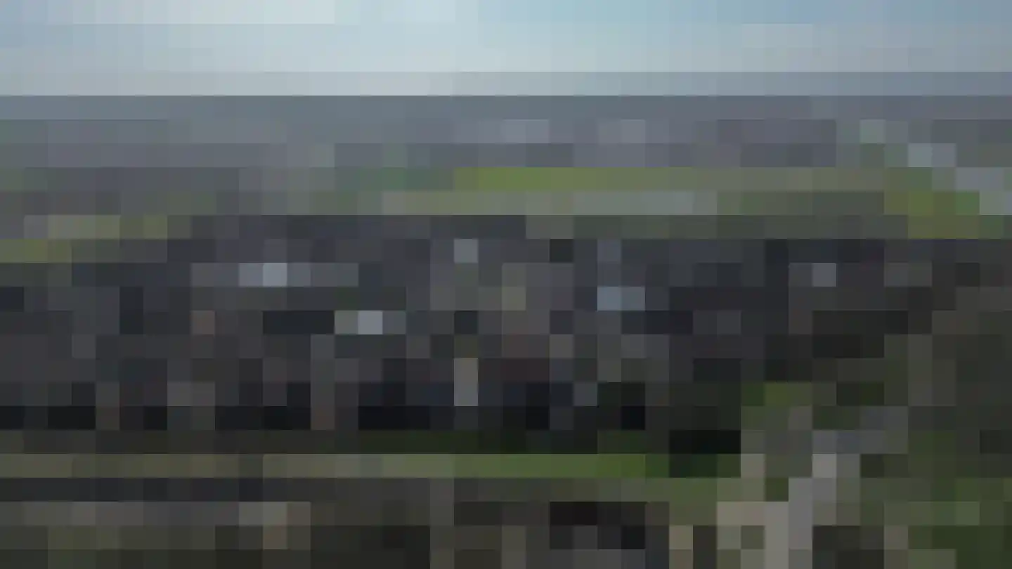 Dieklaan 1 Middelharnis thumbnail 42