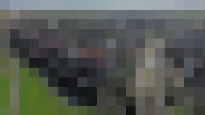 Dieklaan 1 Middelharnis thumbnail 43