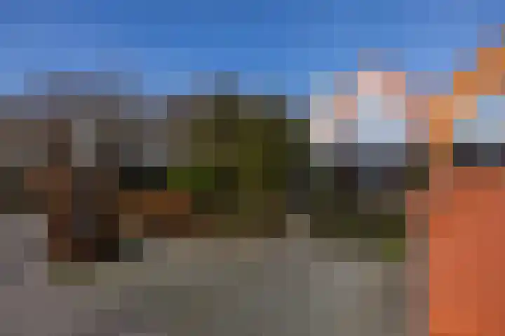 Dieklaan 1 Middelharnis thumbnail 5