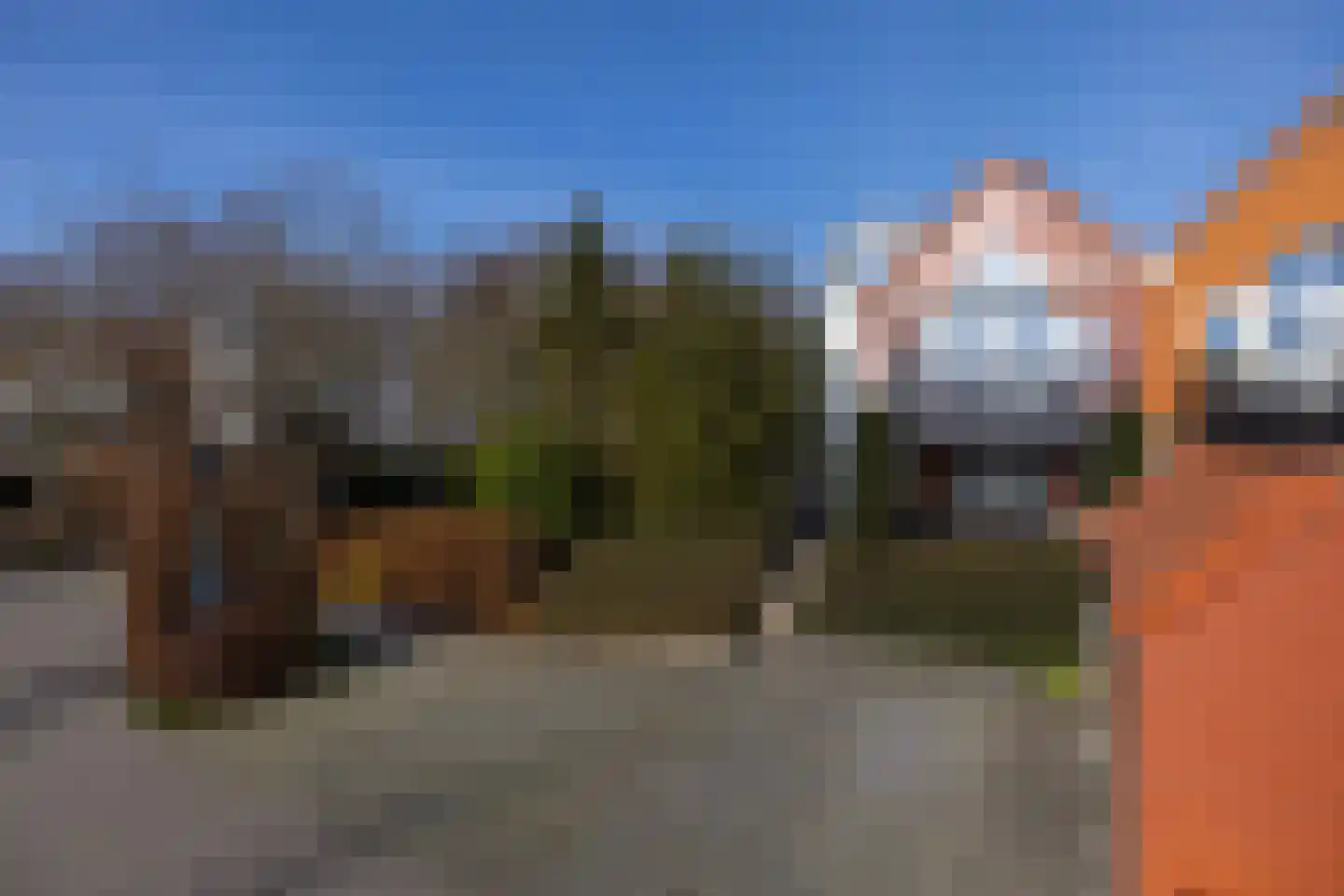 Dieklaan 1 Middelharnis thumbnail 5
