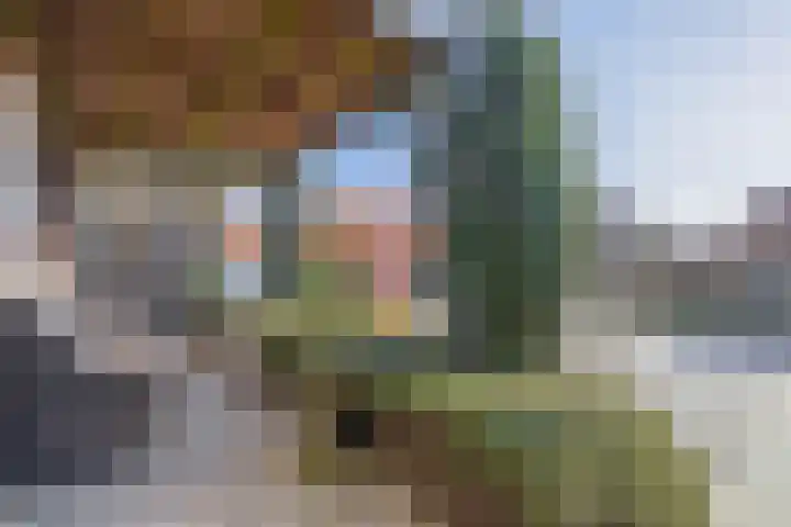 Dieklaan 1 Middelharnis thumbnail 7