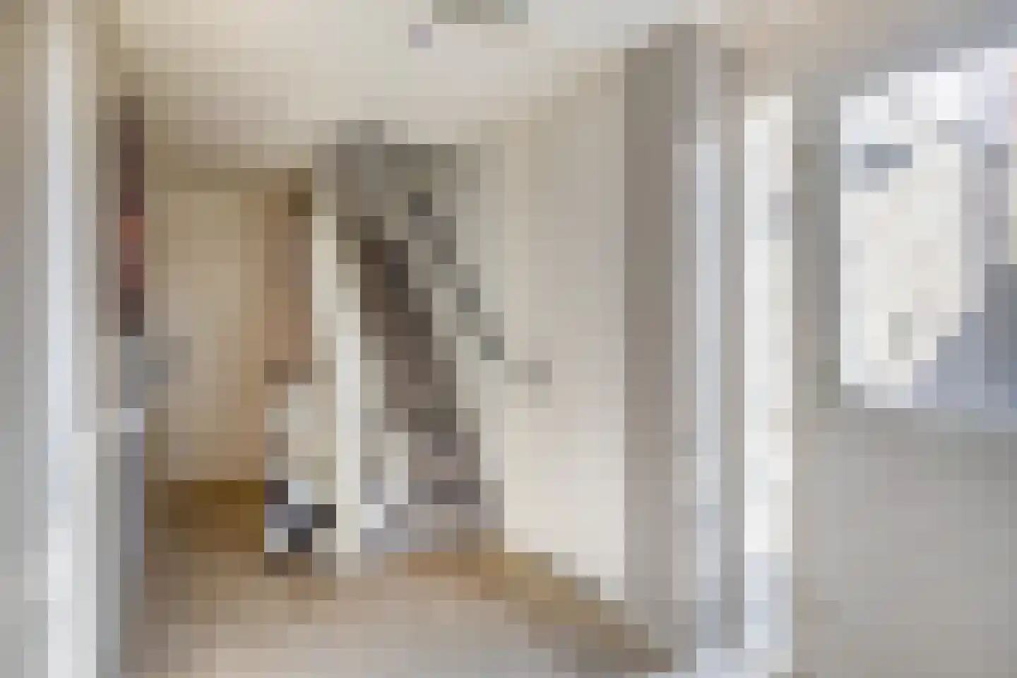 Dieklaan 1 Middelharnis thumbnail 8