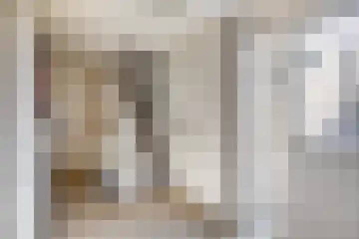 Dieklaan 1 Middelharnis thumbnail 8