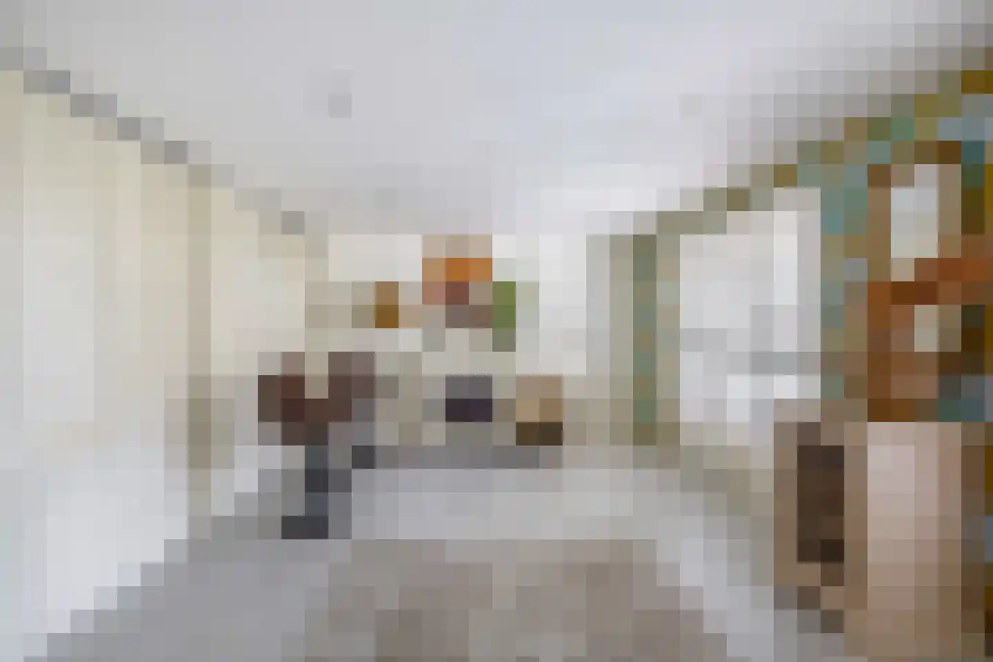 Dieklaan 1 Middelharnis thumbnail 9