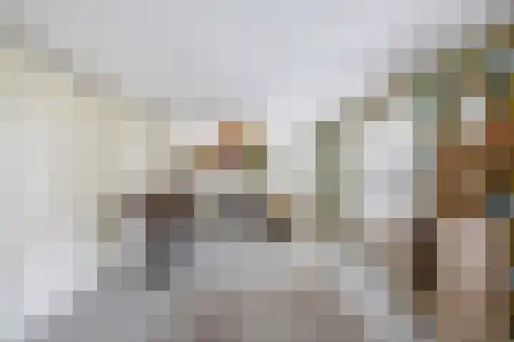 Dieklaan 1 Middelharnis thumbnail 9