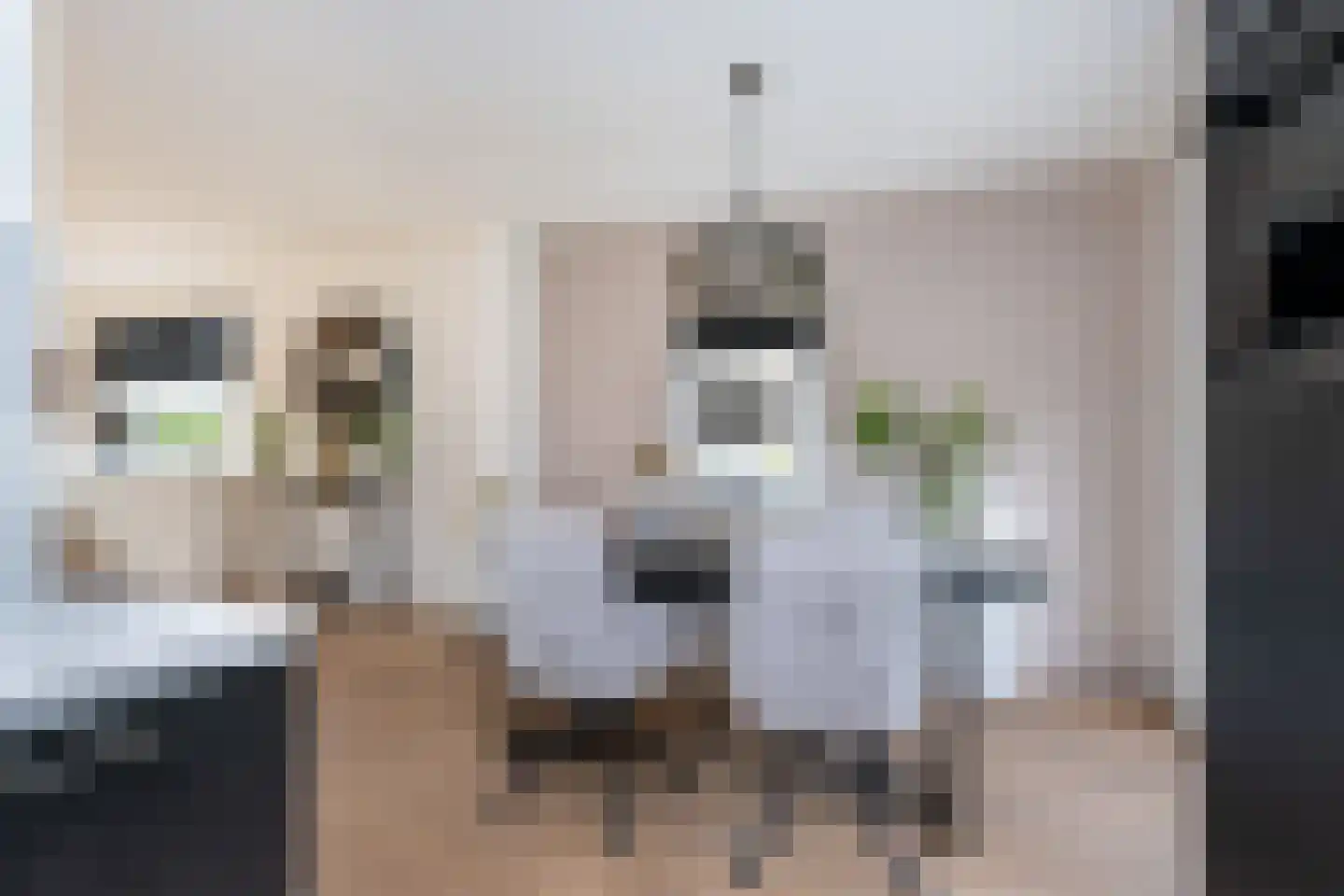 Dieklaan 12 Middelharnis thumbnail 10