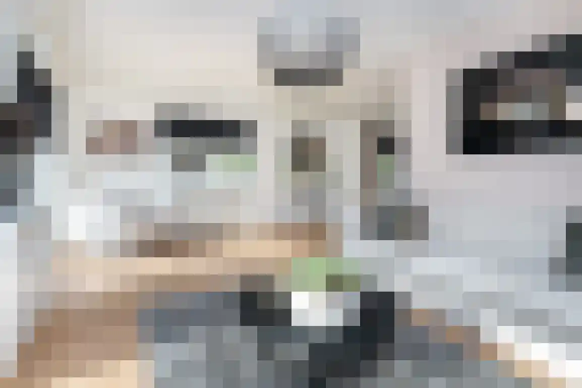 Dieklaan 12 Middelharnis thumbnail 11
