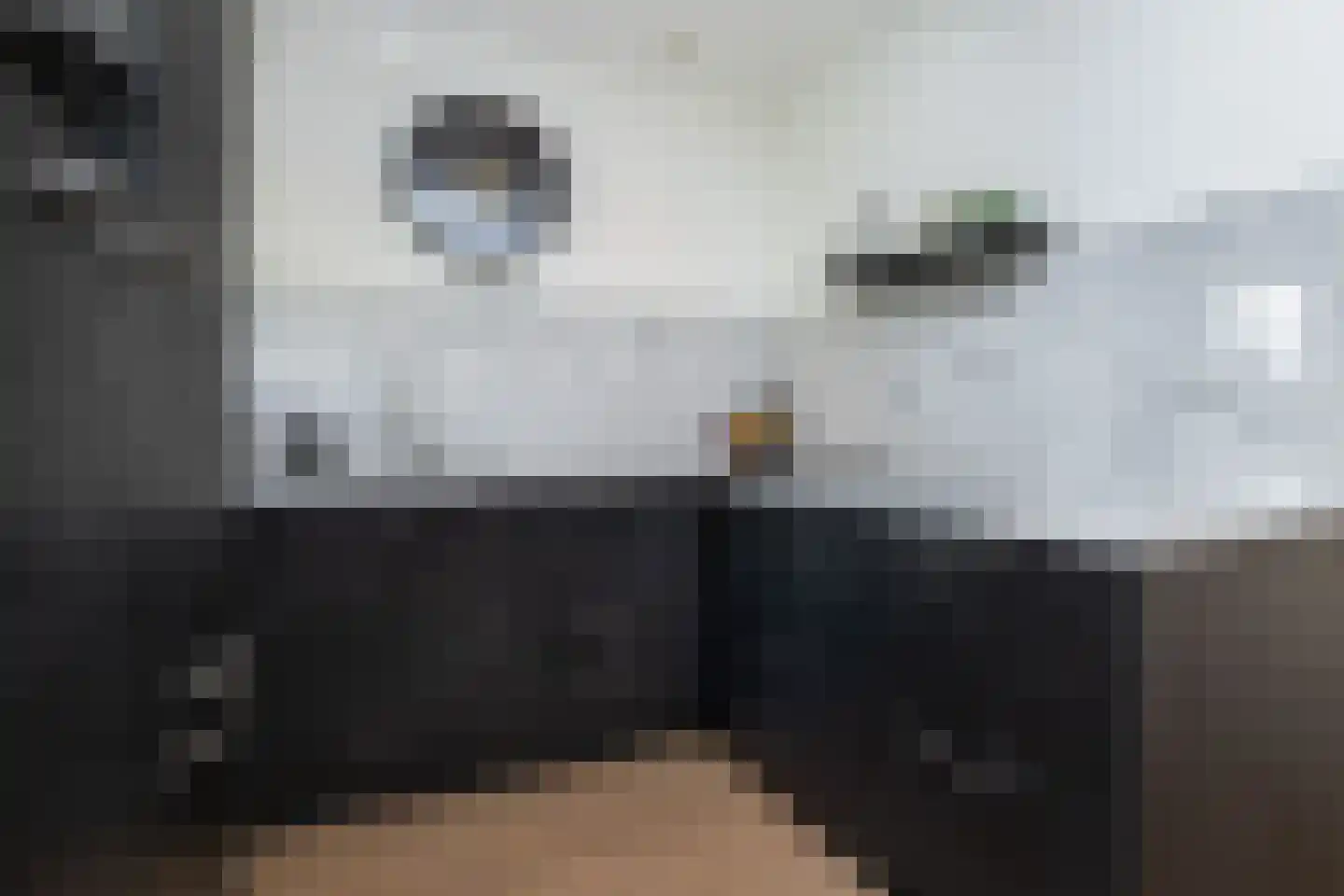Dieklaan 12 Middelharnis thumbnail 12
