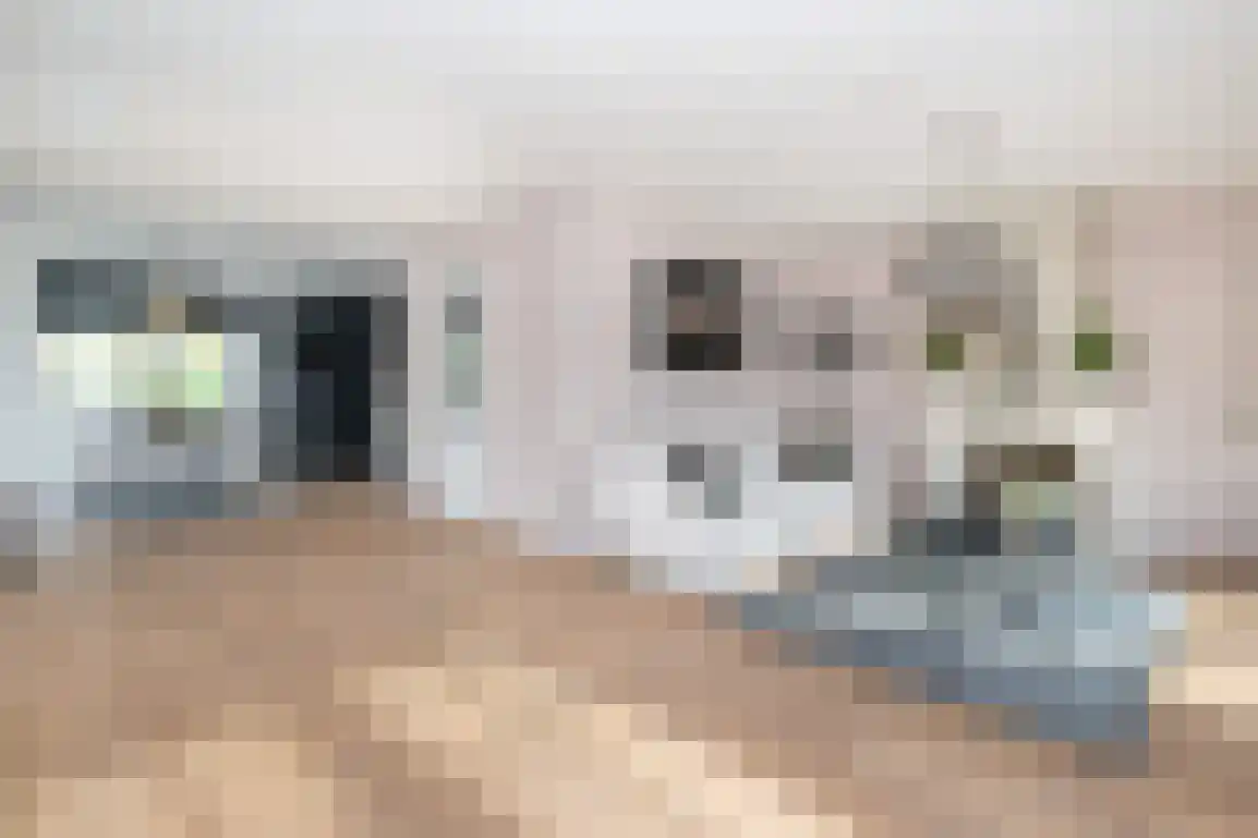 Dieklaan 12 Middelharnis thumbnail 12