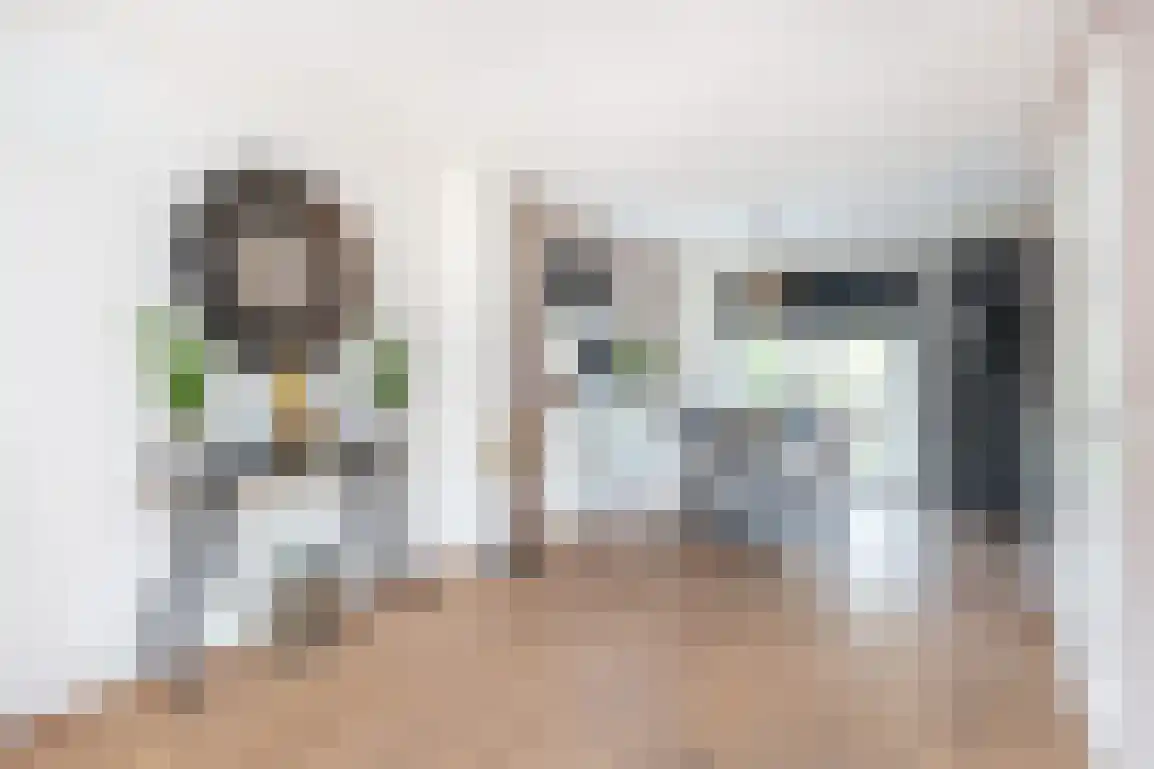 Dieklaan 12 Middelharnis thumbnail 13
