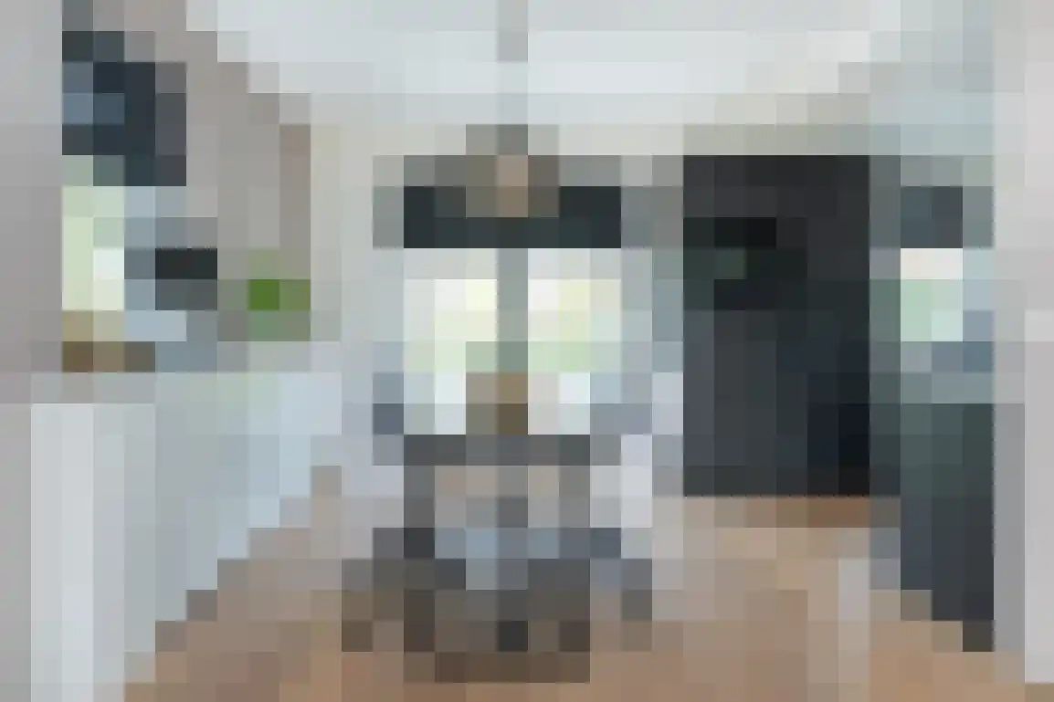 Dieklaan 12 Middelharnis thumbnail 13