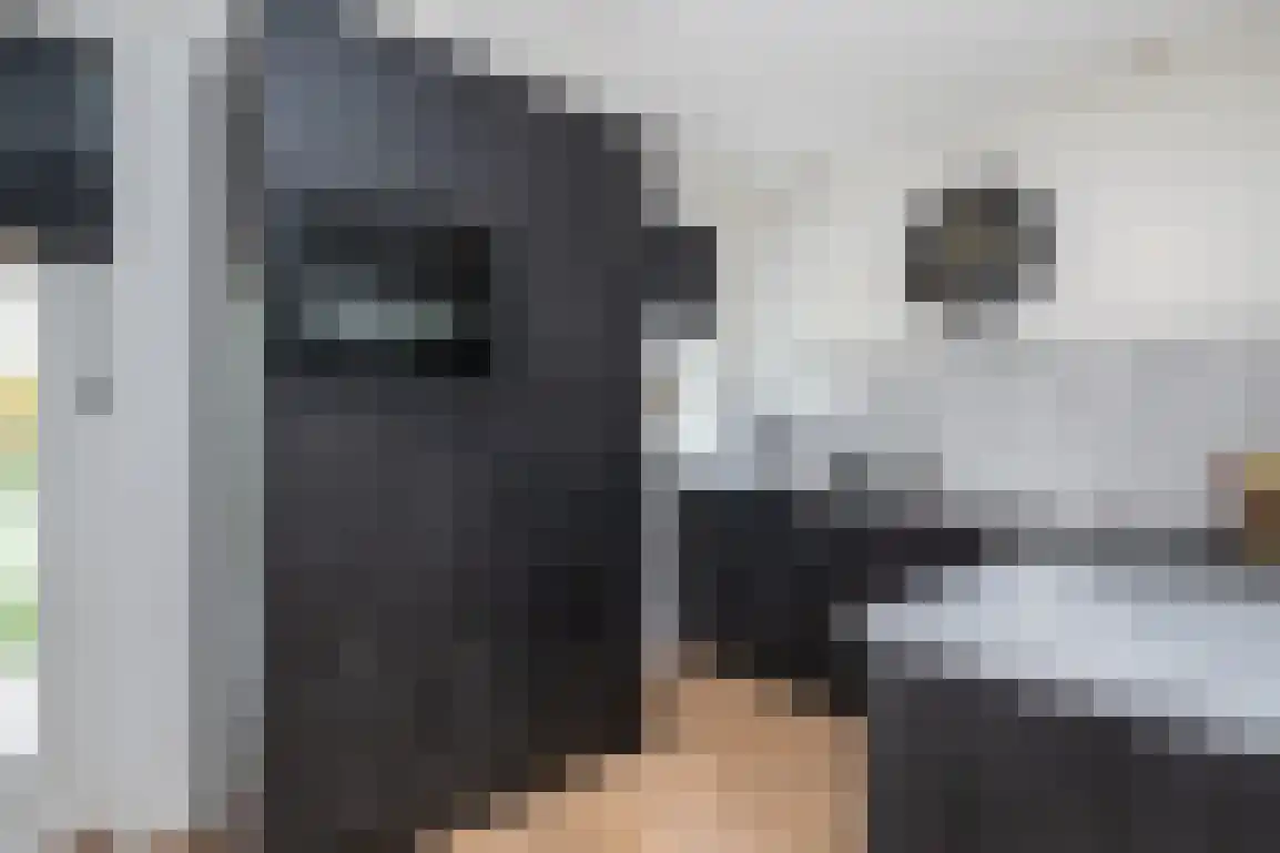 Dieklaan 12 Middelharnis thumbnail 16