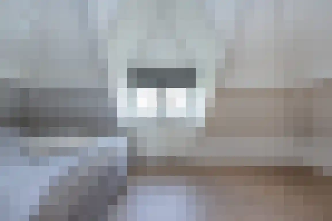 Dieklaan 12 Middelharnis thumbnail 16