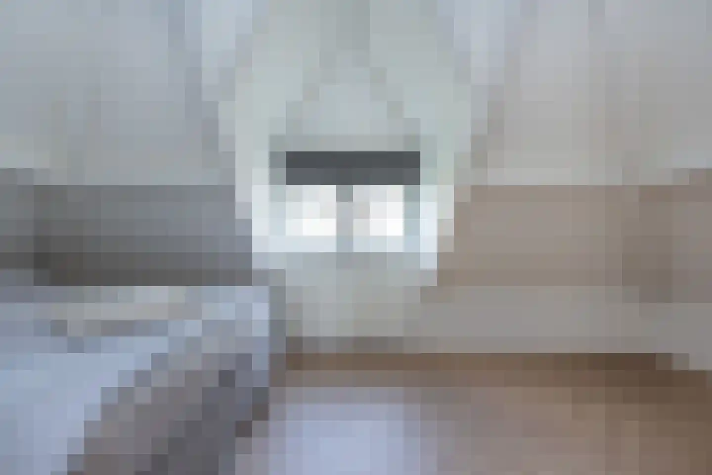 Dieklaan 12 Middelharnis thumbnail 17