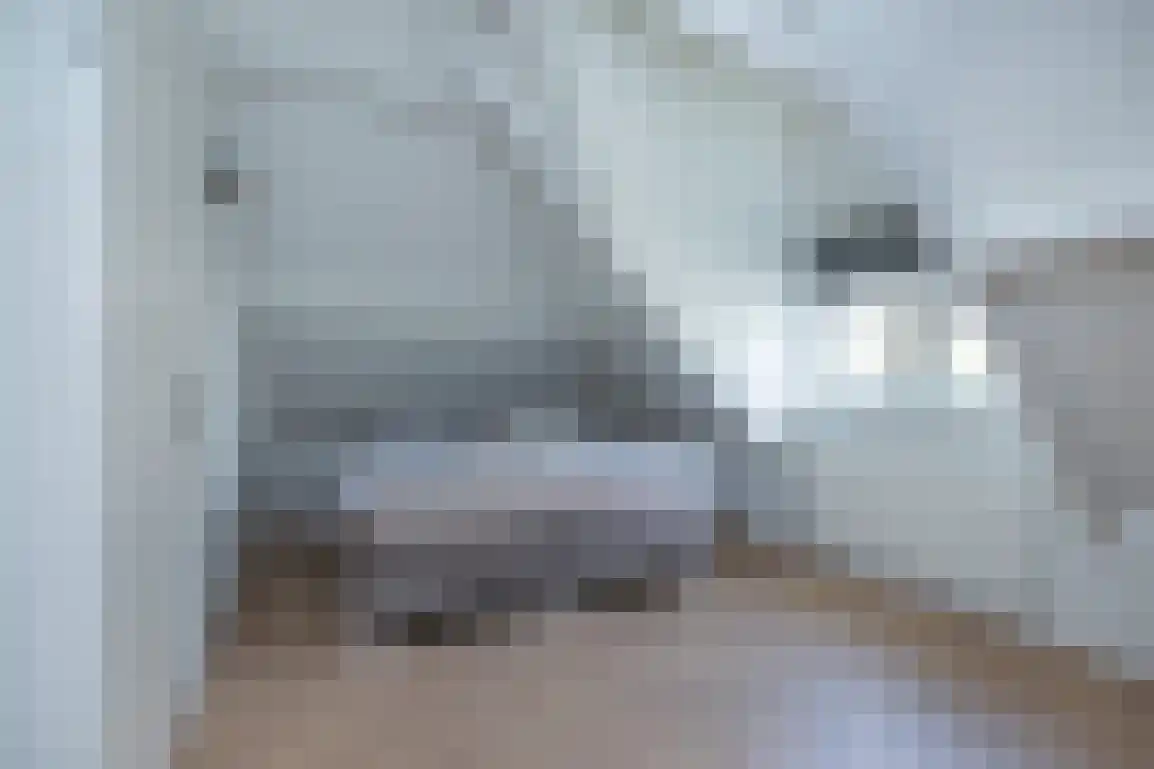 Dieklaan 12 Middelharnis thumbnail 19