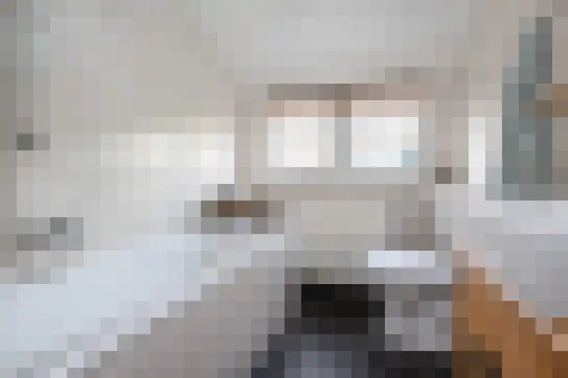 Dieklaan 12 Middelharnis thumbnail 20