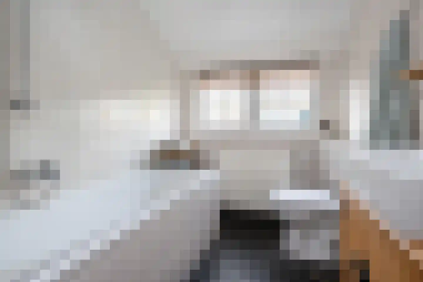 Dieklaan 12 Middelharnis thumbnail 21