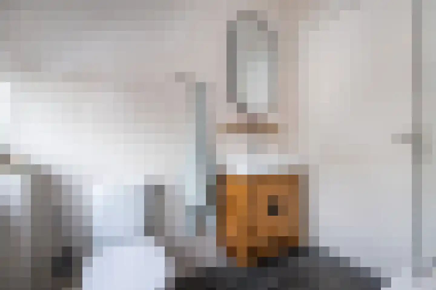 Dieklaan 12 Middelharnis thumbnail 22
