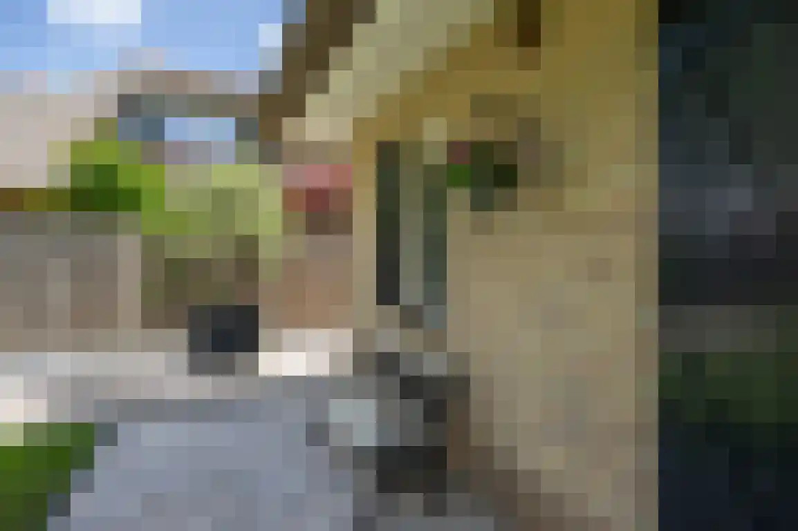 Dieklaan 12 Middelharnis thumbnail 24