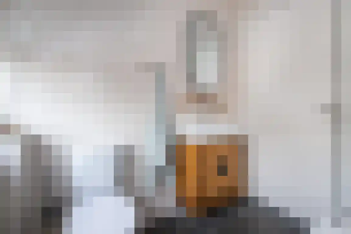 Dieklaan 12 Middelharnis thumbnail 24