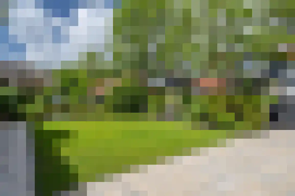 Dieklaan 12 Middelharnis thumbnail 25