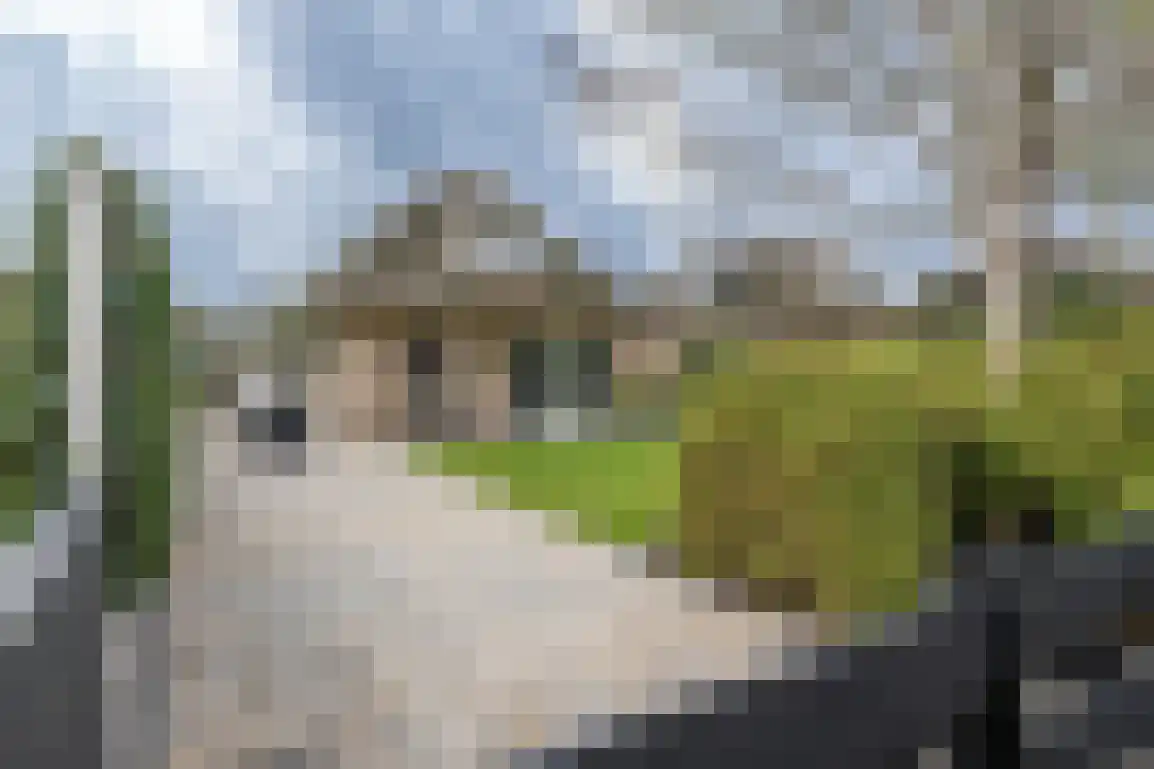 Dieklaan 12 Middelharnis thumbnail 32