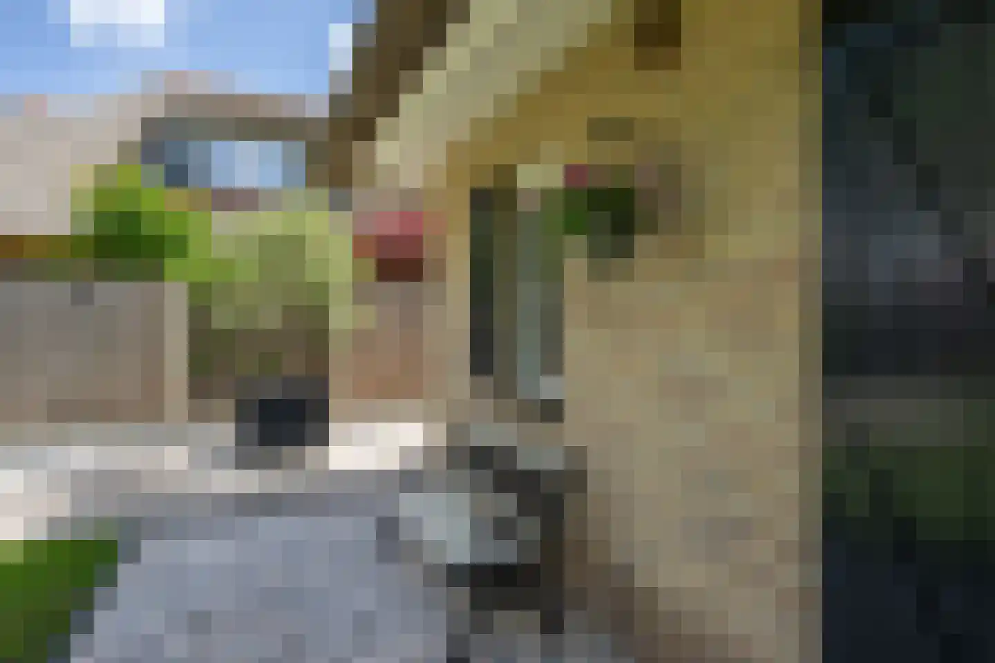 Dieklaan 12 Middelharnis thumbnail 35