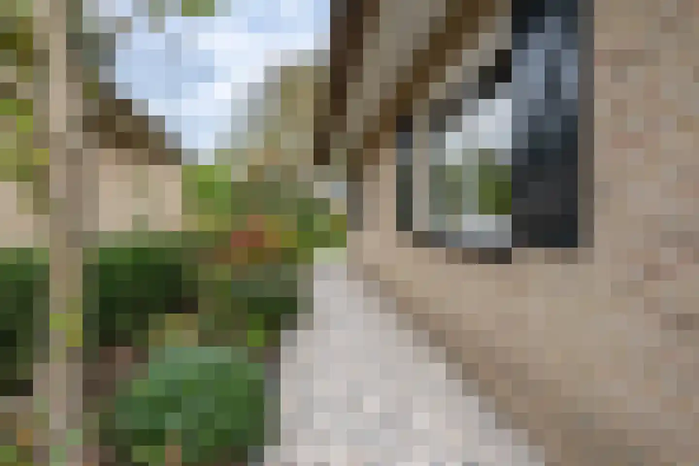 Dieklaan 12 Middelharnis thumbnail 36