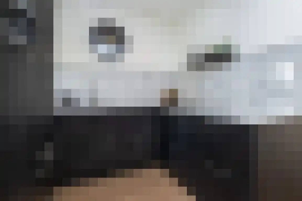 Dieklaan 12 Middelharnis thumbnail 4