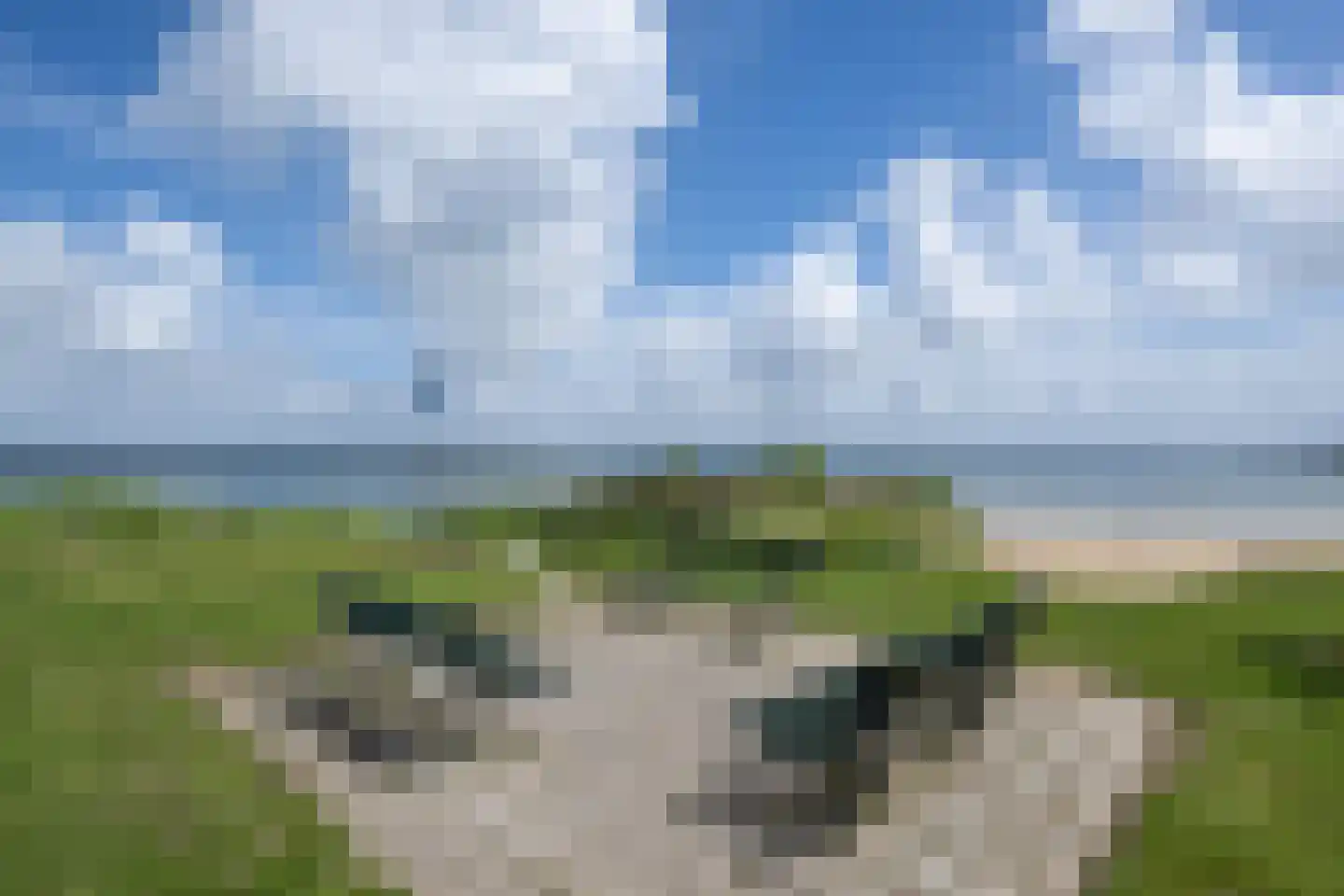 Dieklaan 12 Middelharnis thumbnail 41