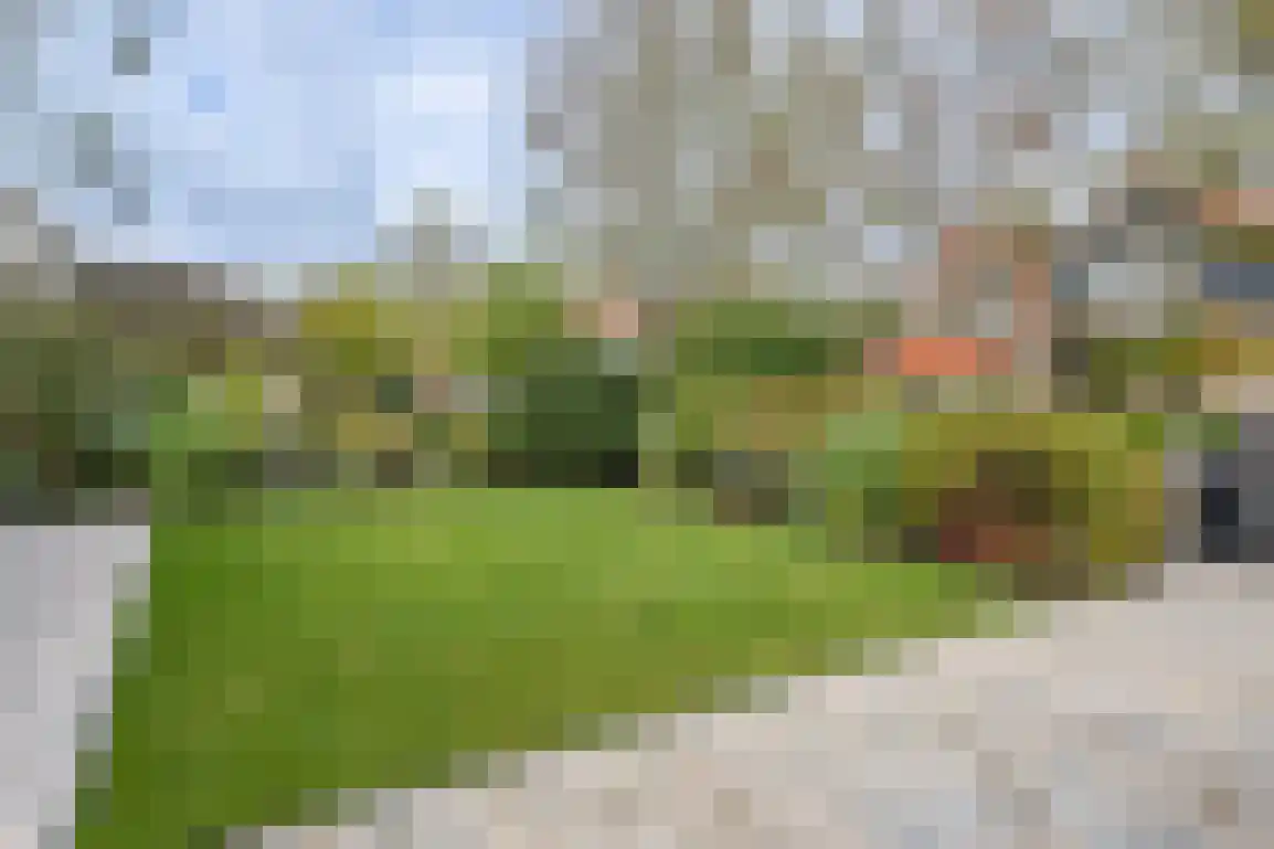 Dieklaan 12 Middelharnis thumbnail 6