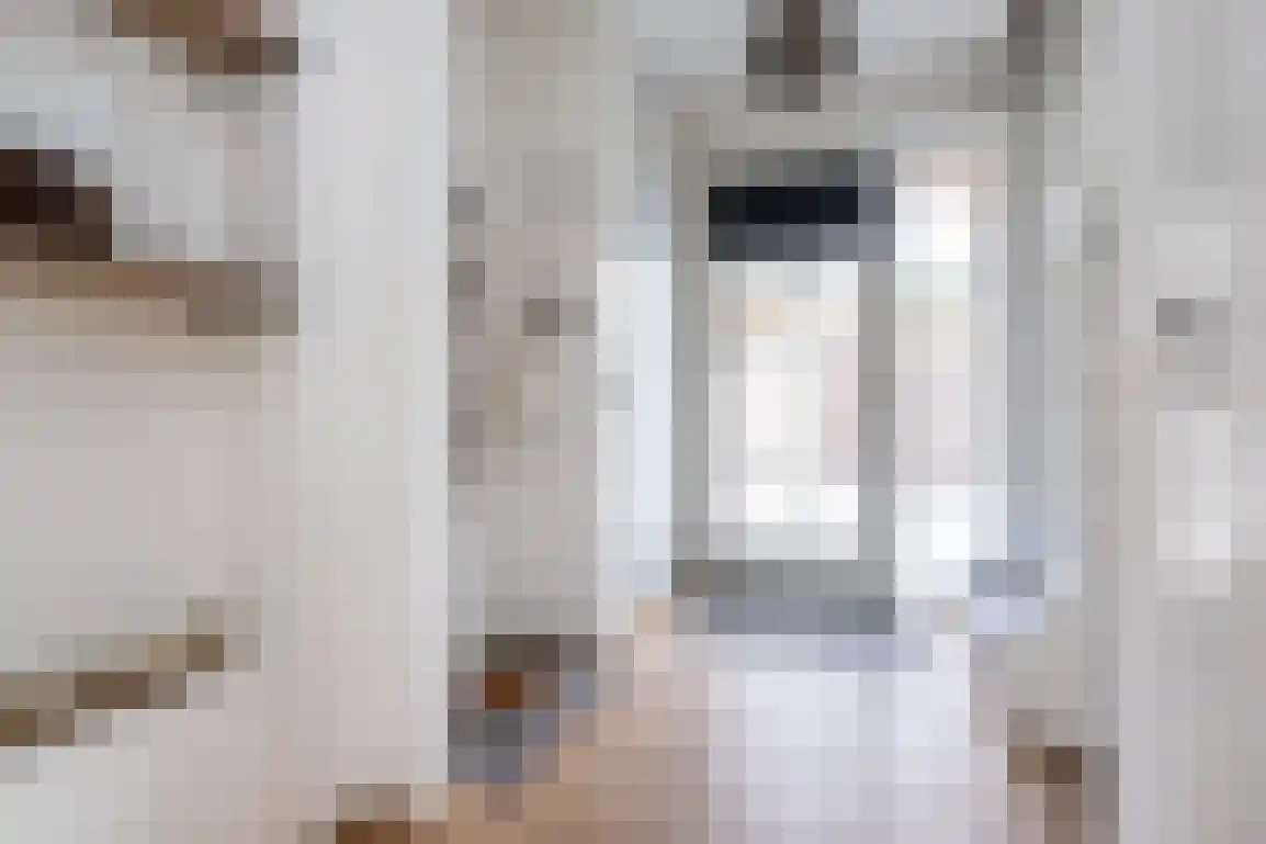 Dieklaan 12 Middelharnis thumbnail 6