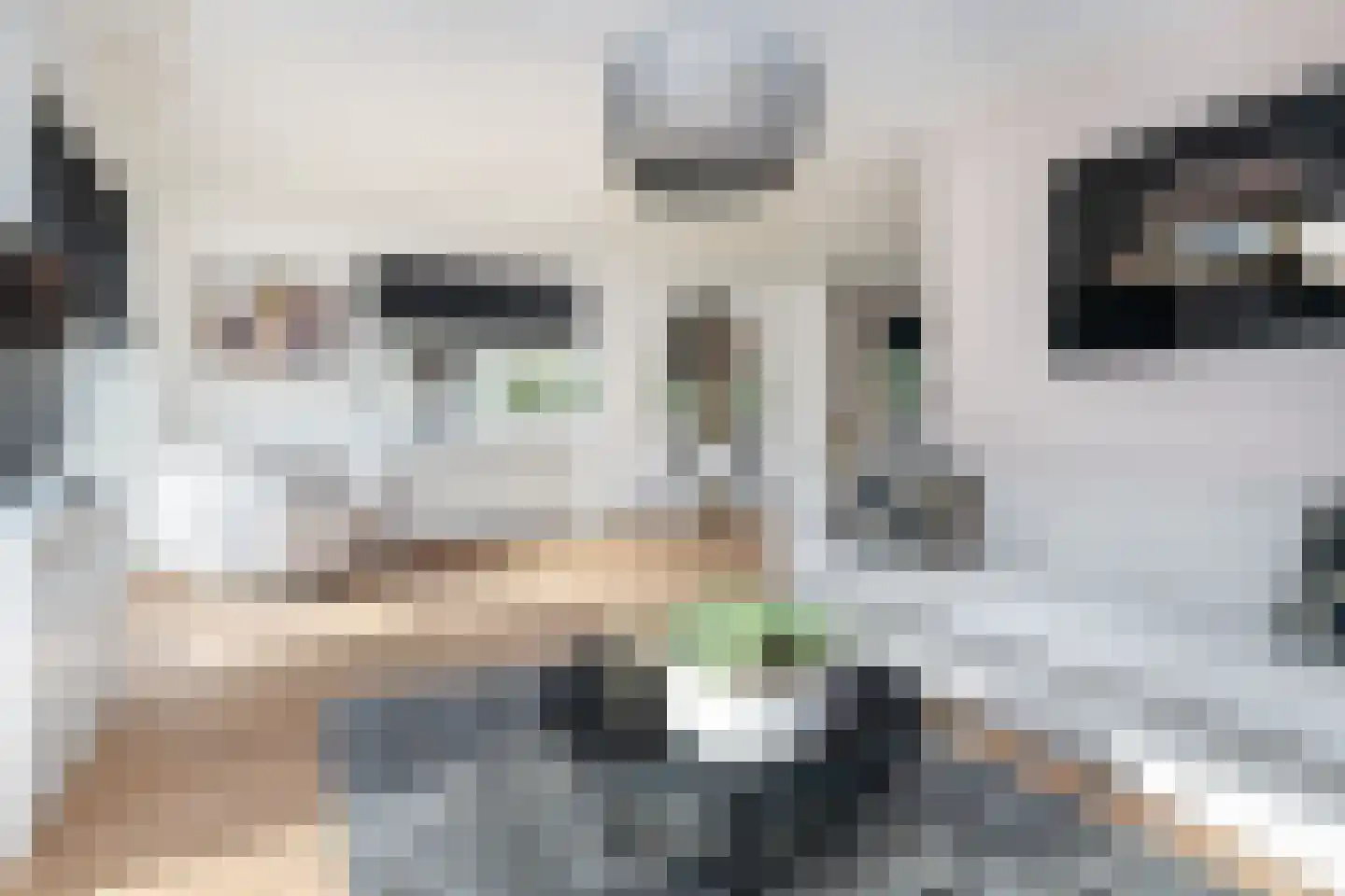 Dieklaan 12 Middelharnis thumbnail 6