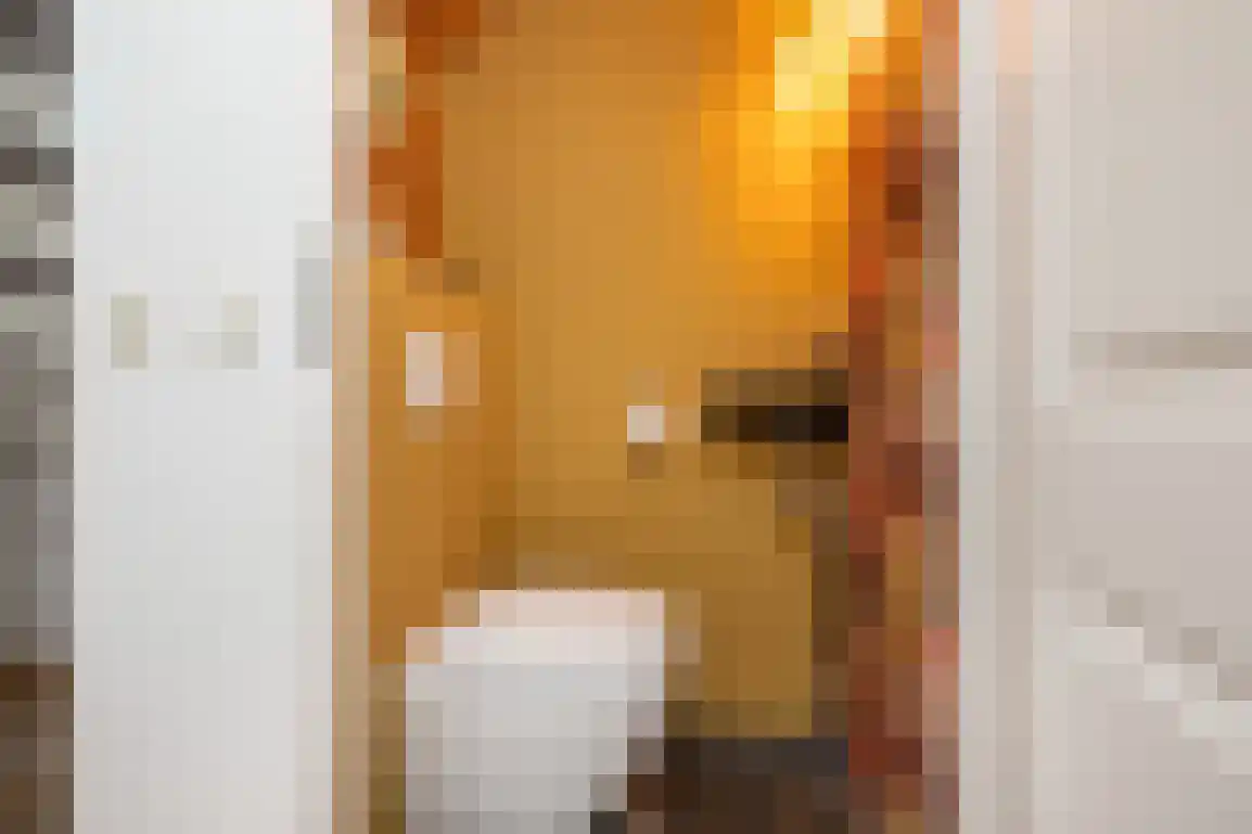 Dieklaan 12 Middelharnis thumbnail 8