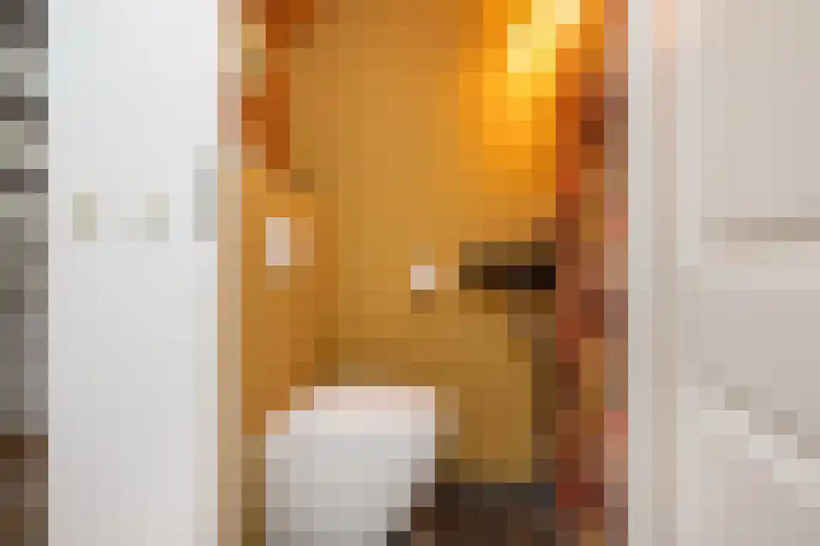 Dieklaan 12 Middelharnis thumbnail 9