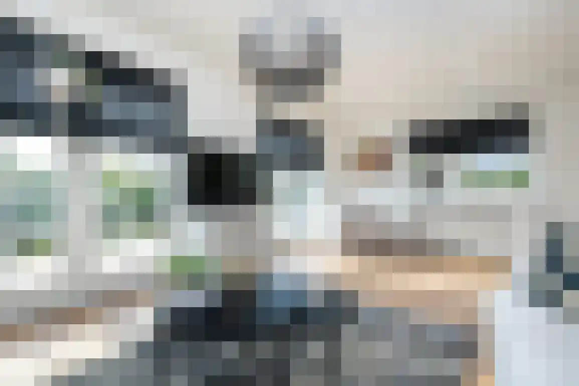 Dieklaan 12 Middelharnis thumbnail 9