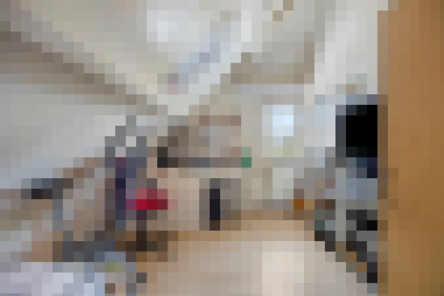 Dieklaan 22 Middelharnis thumbnail 25