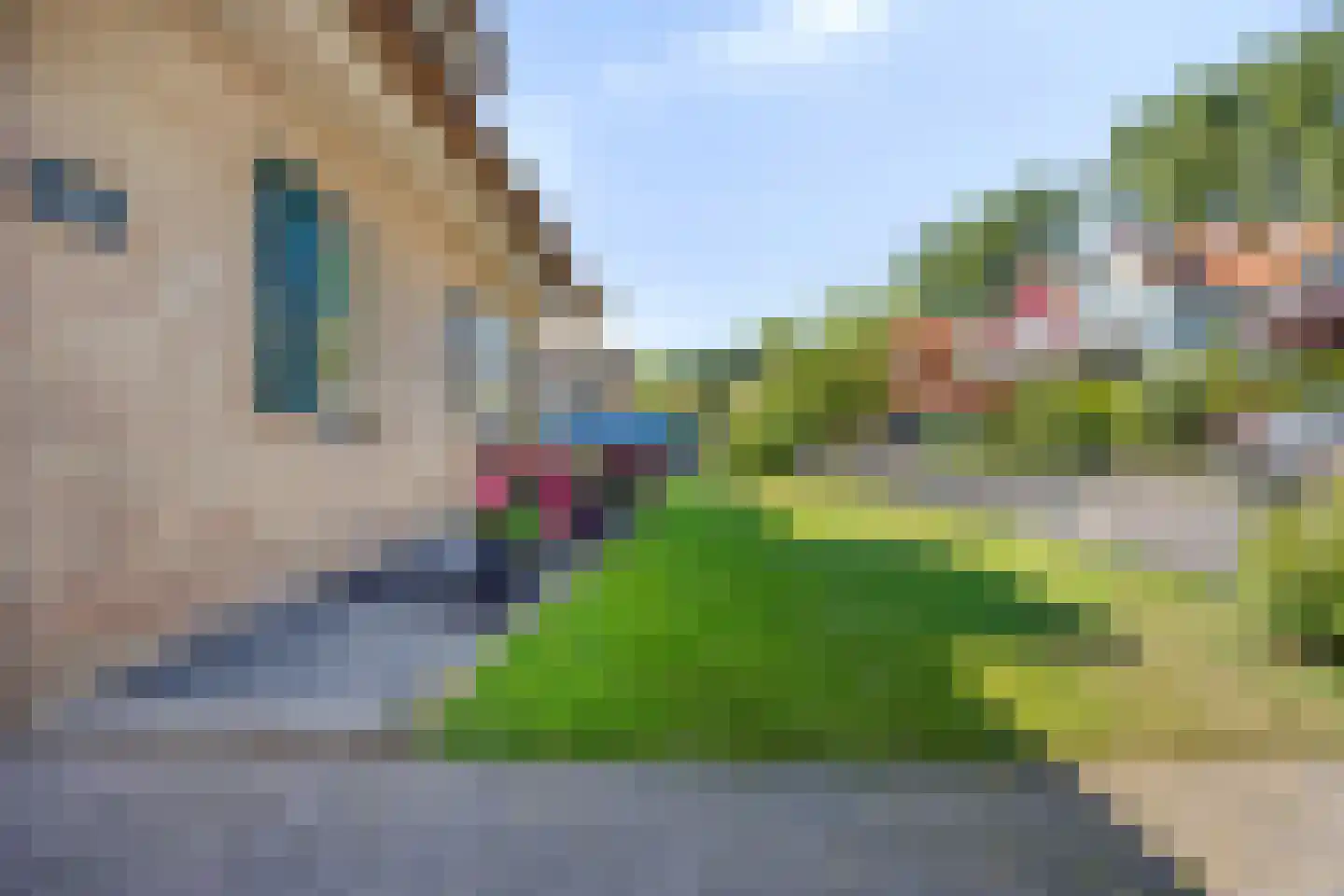 Dieklaan 22 Middelharnis thumbnail 30