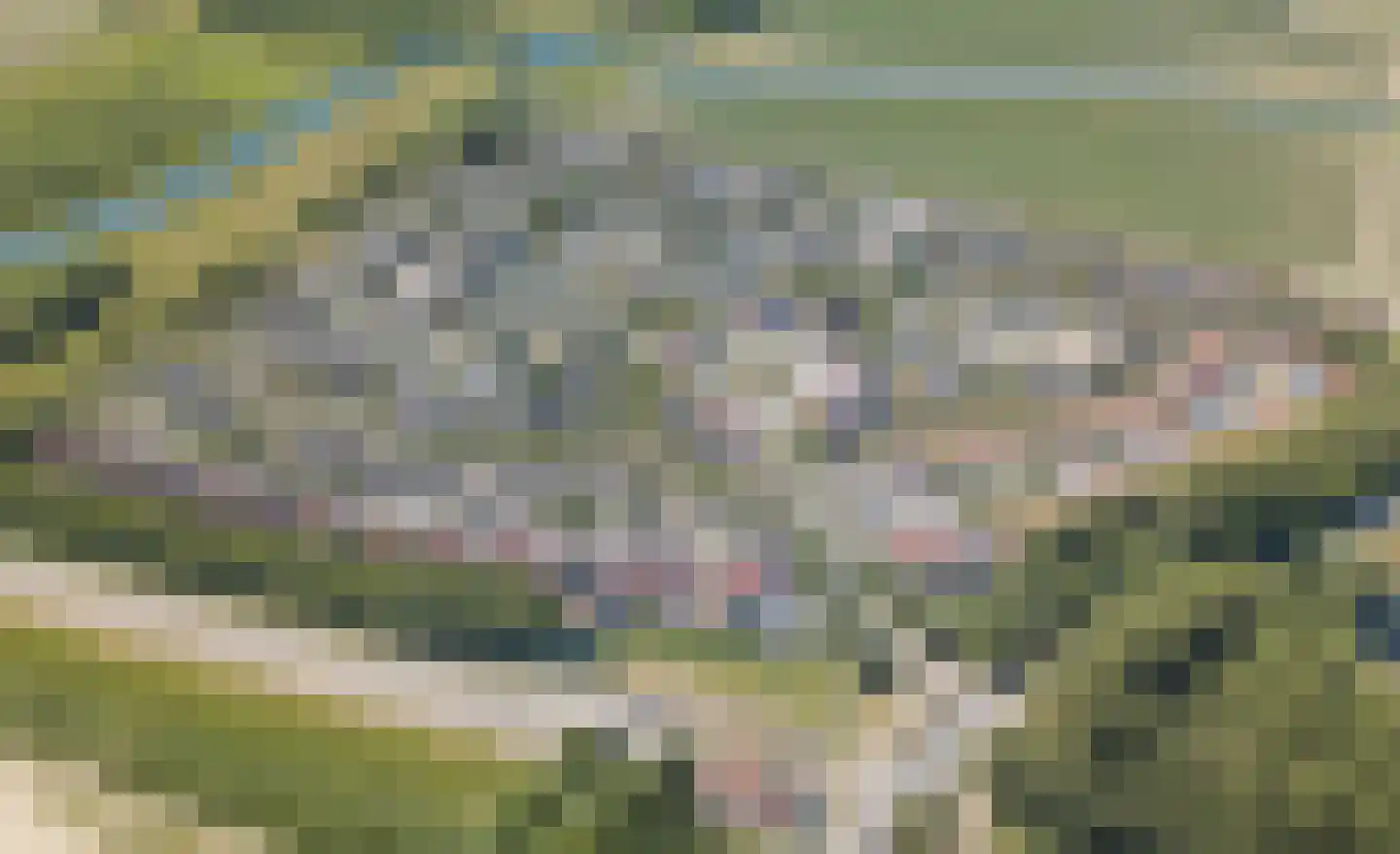 Dieklaan 22 Middelharnis thumbnail 32