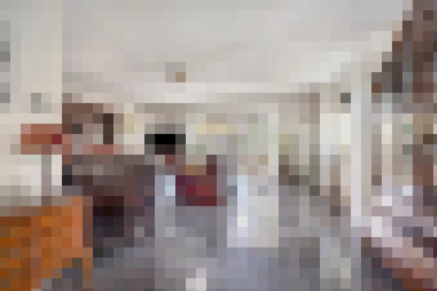 Dieklaan 22 Middelharnis thumbnail 4