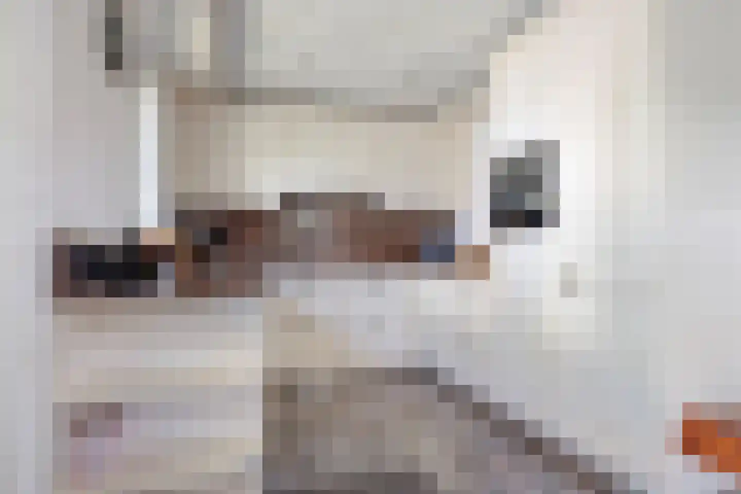 Dieklaan 22 Middelharnis thumbnail 6