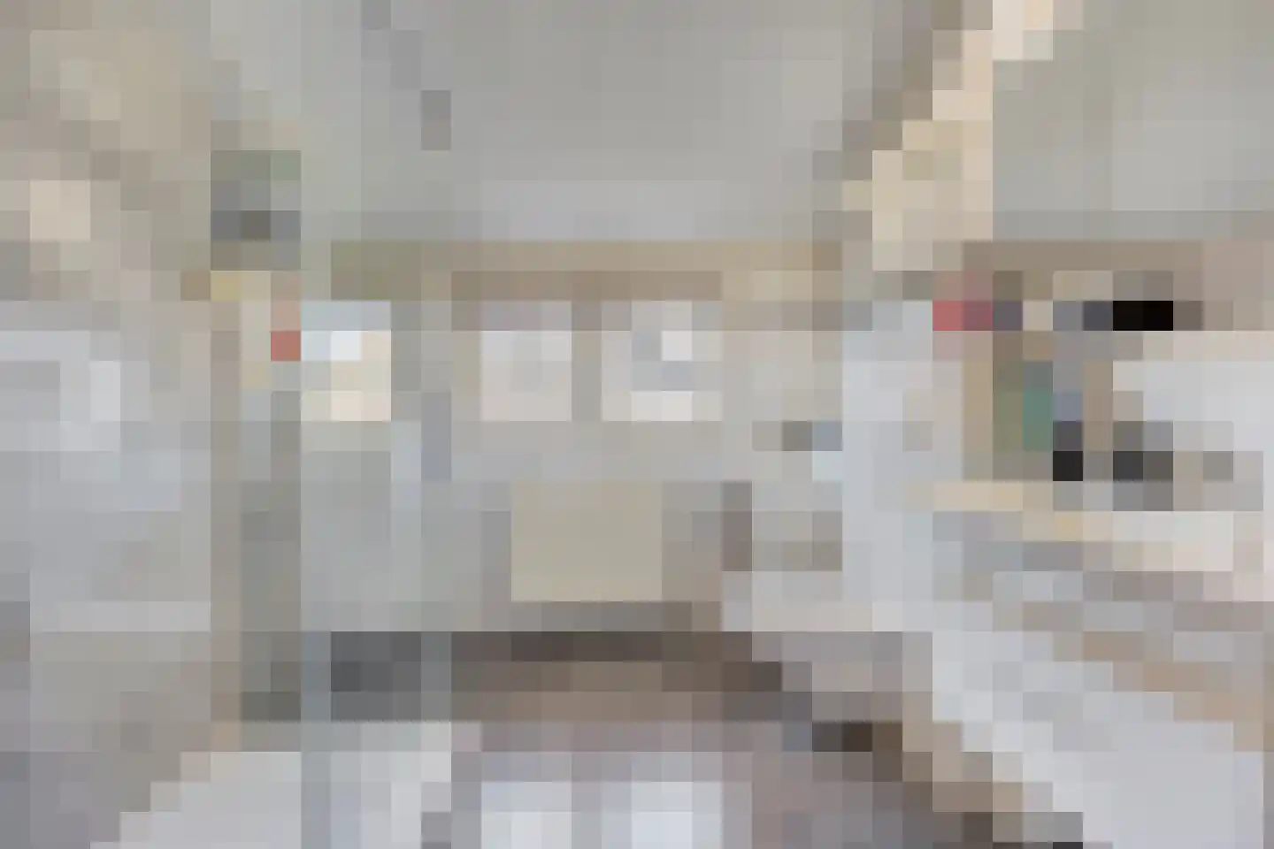 Dieklaan 22 Middelharnis thumbnail 6
