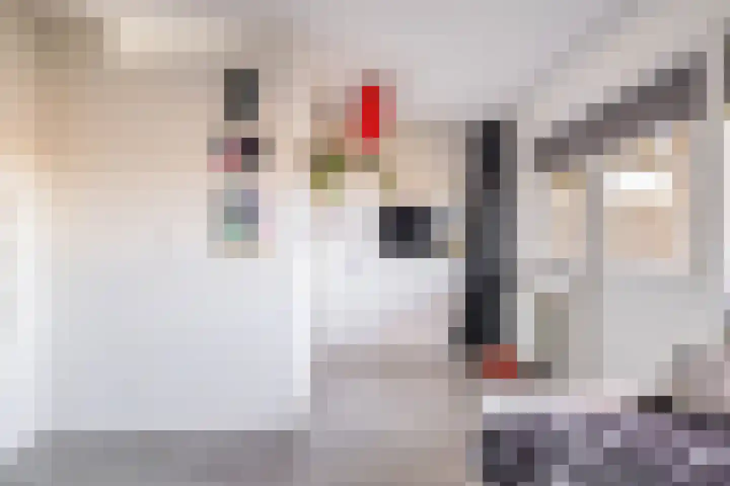 Dieklaan 35 Middelharnis thumbnail 12