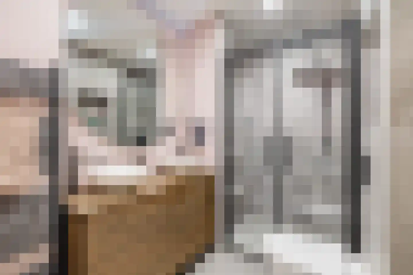 Dieklaan 35 Middelharnis thumbnail 13
